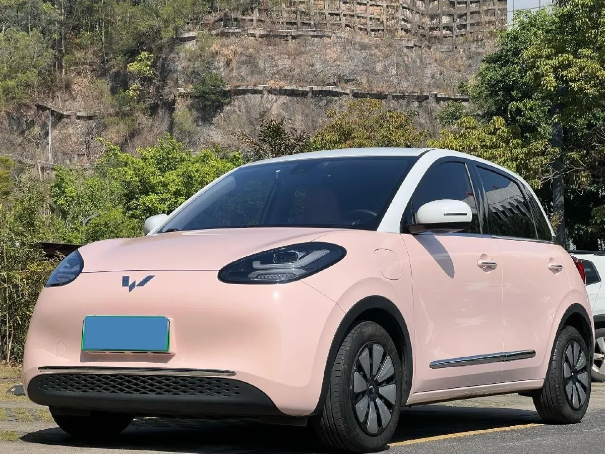 2023 WuLing BinGuo BEV 31.9KWH,autocango,china used car exporter,china ev exporter,chinese used car exporter,chinese used ev exporter