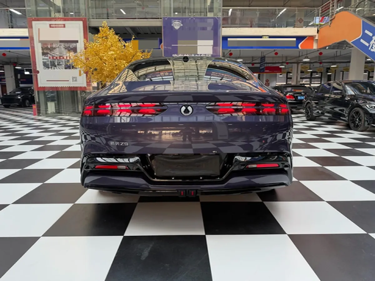 2024 Denza DenzaZ9 2.0T 207HP L4 E-CVT PHEV 38.5KWH,autocango,china used car exporter,china ev exporter,chinese used car exporter,chinese used ev exporter