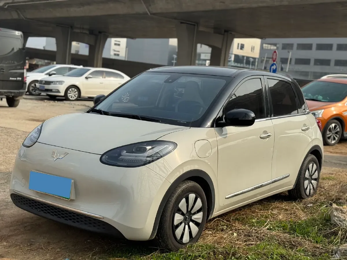 2023 WuLing BinGuo BEV 31.9KWH,autocango,china used car exporter,china ev exporter,chinese used car exporter,chinese used ev exporter