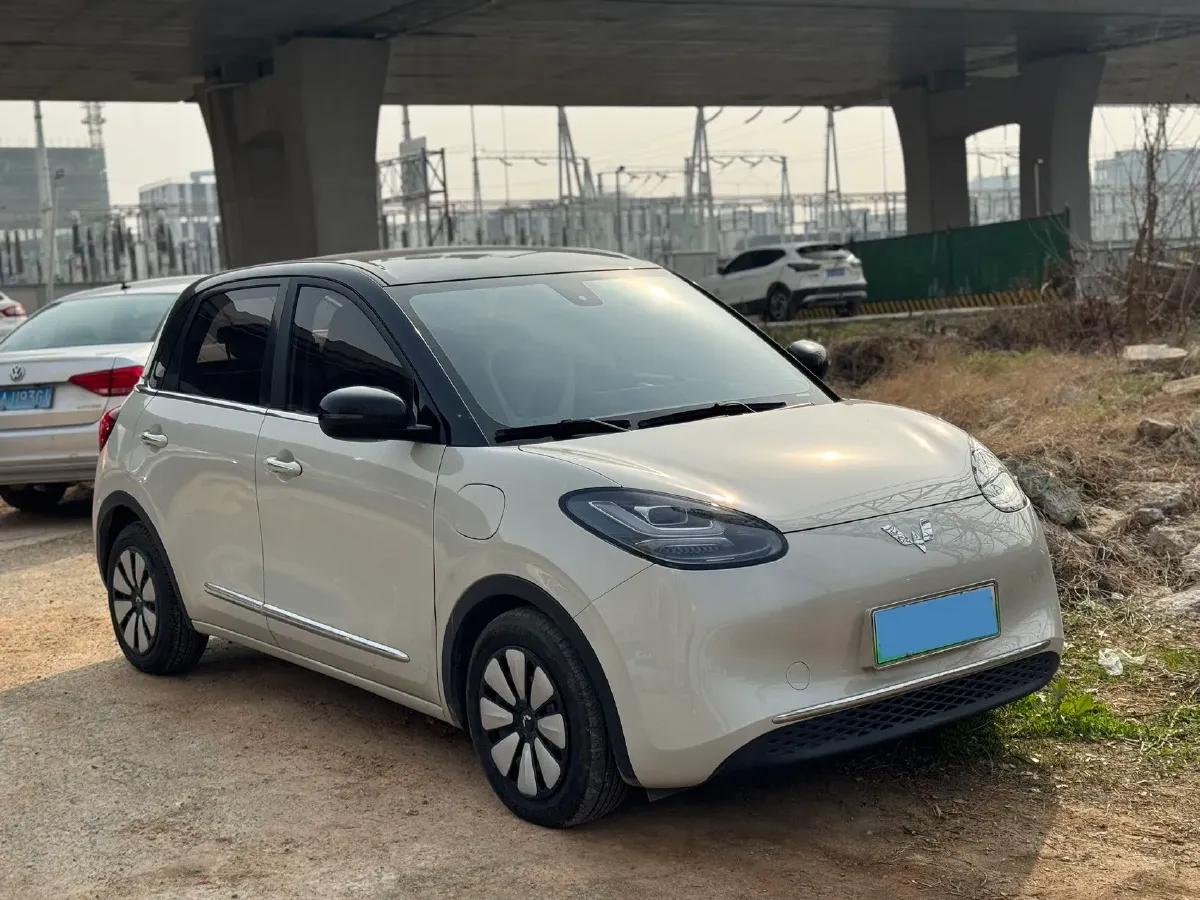 2023 WuLing BinGuo BEV 31.9KWH,autocango,china used car exporter,china ev exporter,chinese used car exporter,chinese used ev exporter
