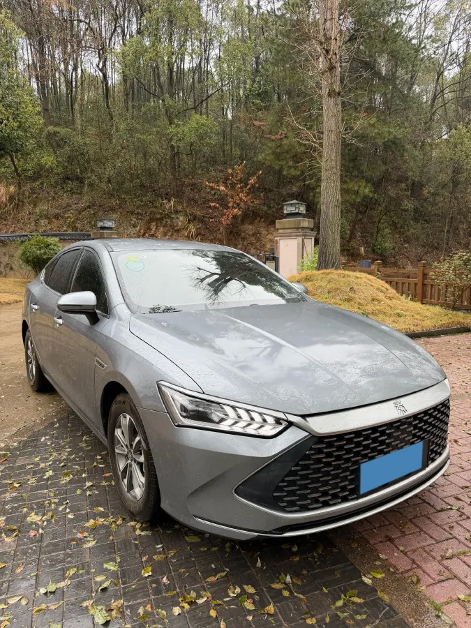 2024 BYD Qin Plus 1.5L 110HP L4 E-CVT PHEV 8.32KWH,autocango,china used car exporter,china ev exporter,chinese used car exporter,chinese used ev exporter