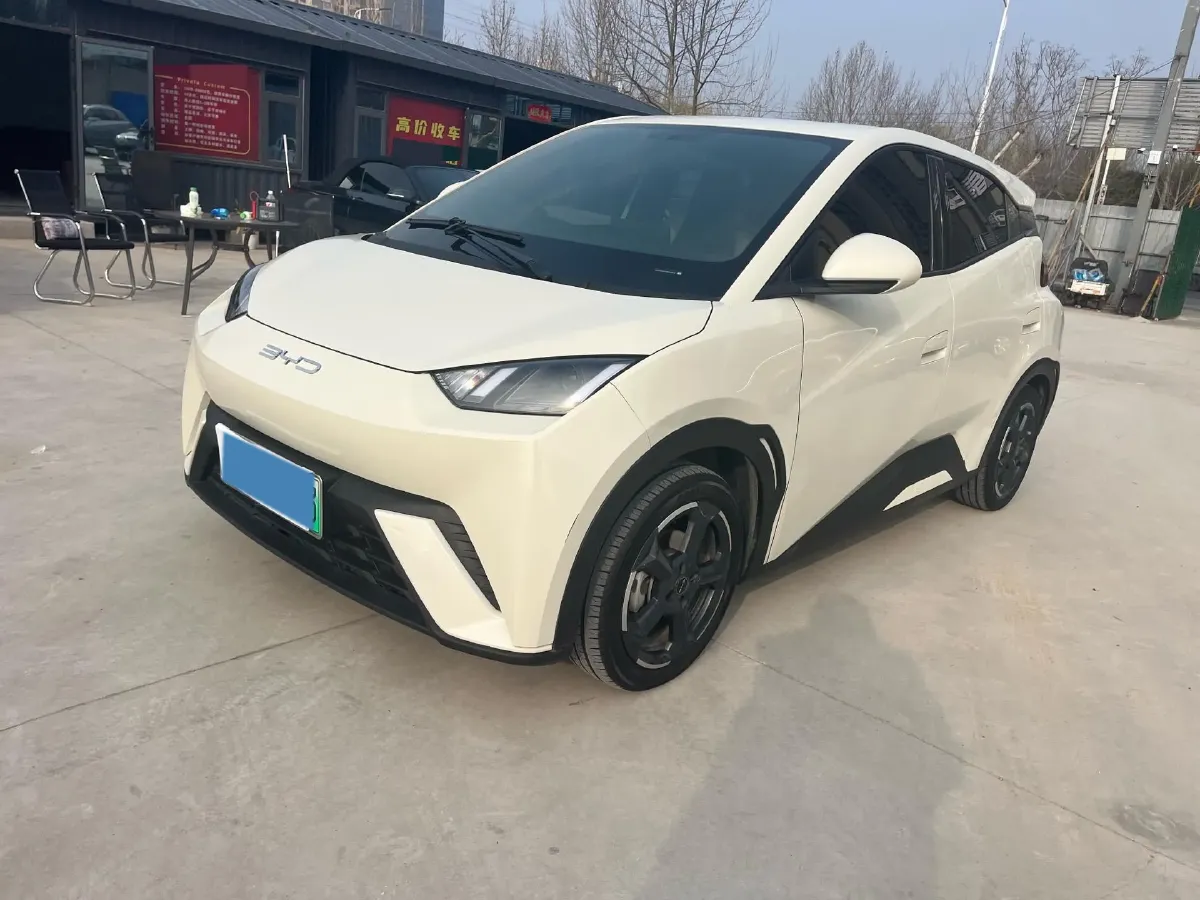 2023 BYD Seagull BEV 38.88KWH,autocango,china used car exporter,china ev exporter,chinese used car exporter,chinese used ev exporter