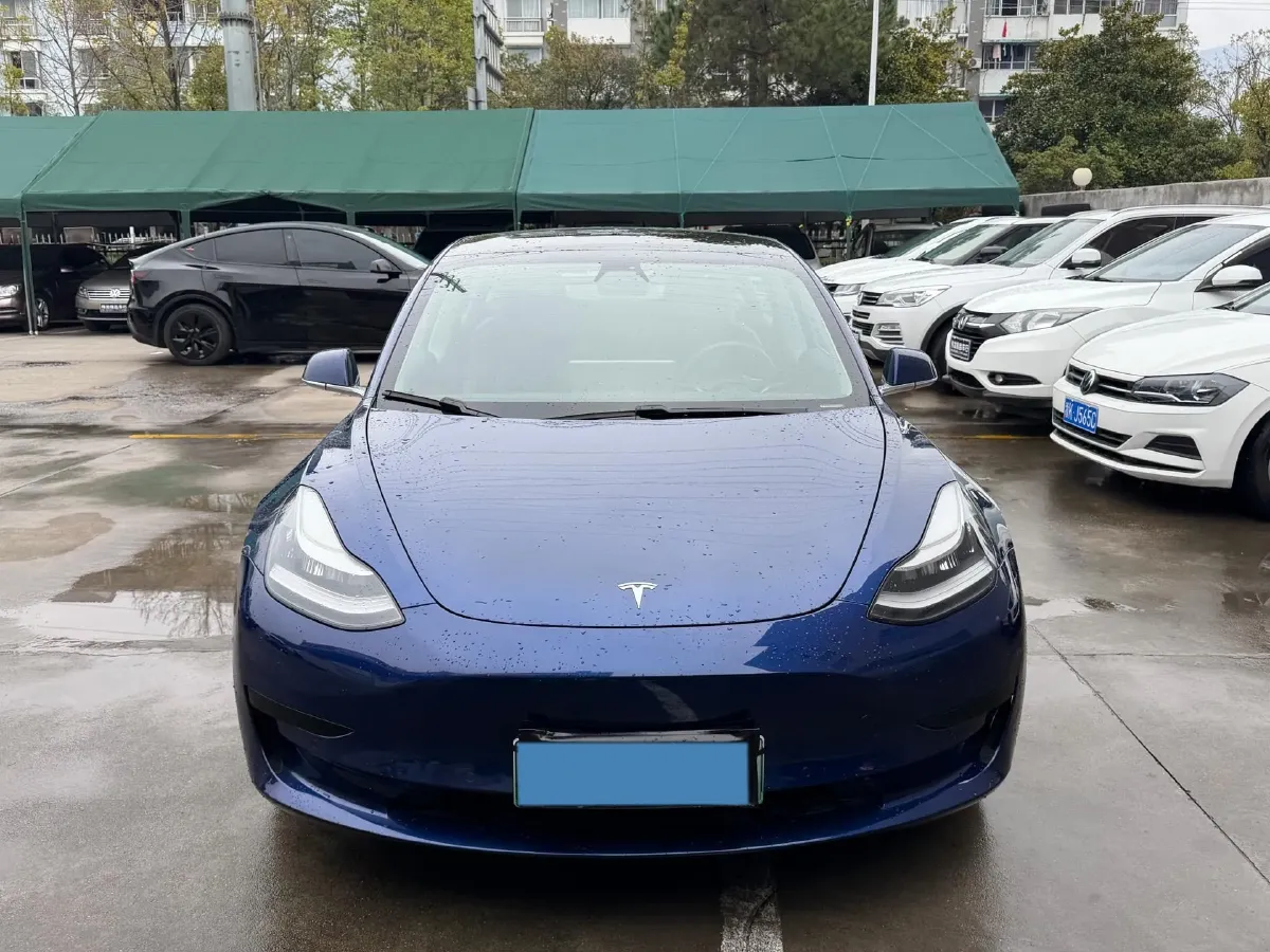 2020 Tesla Model 3 BEV 52KWH,autocango,china used car exporter,china ev exporter,chinese used car exporter,chinese used ev exporter