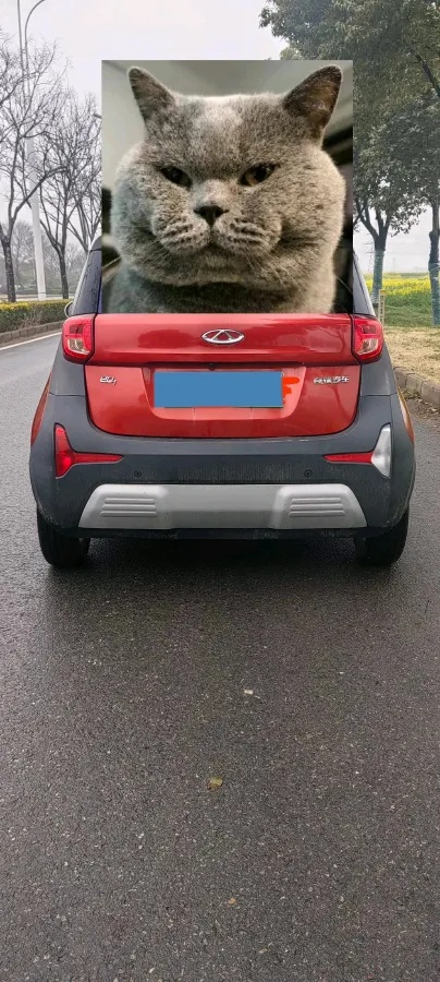 2018 Chery Little Ant BEV 18.2KWH,autocango,china used car exporter,china ev exporter,chinese used car exporter,chinese used ev exporter