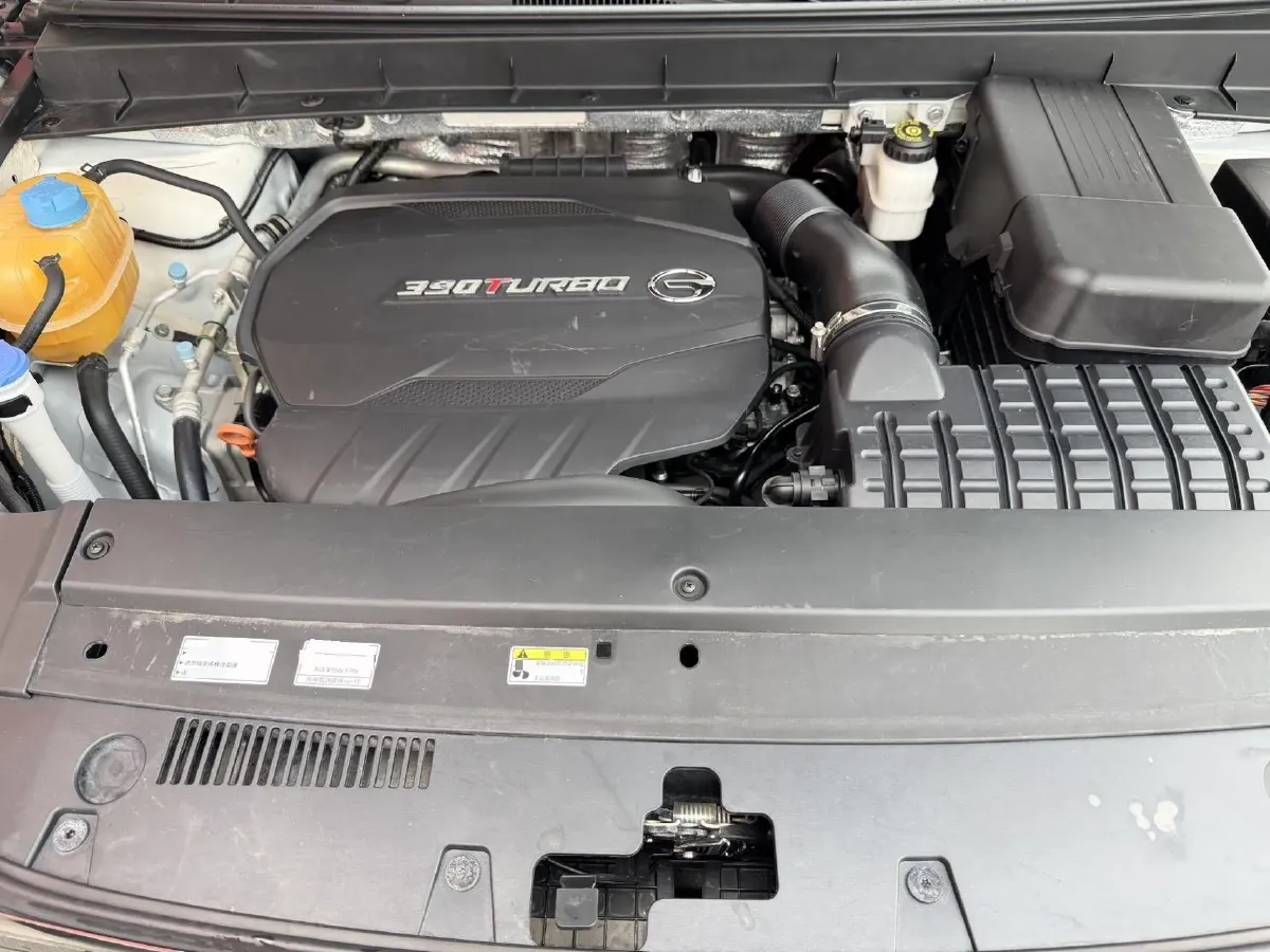 2019 GAC Trumpchi GS8 2.0T 252HP L4 6AT,autocango,china used car exporter,china ev exporter,chinese used car exporter,chinese used ev exporter