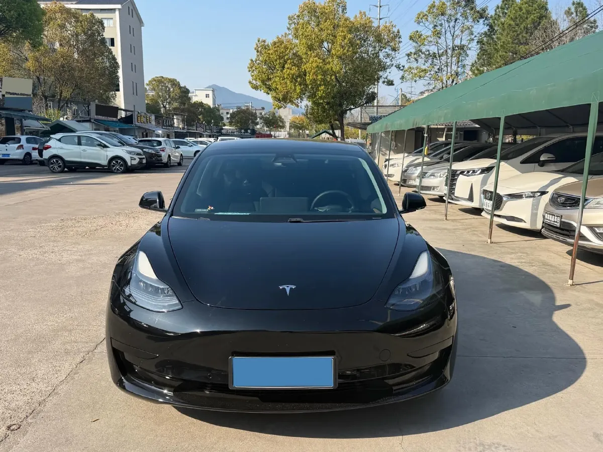 2021 Tesla Model 3 BEV 55KWH,autocango,china used car exporter,china ev exporter,chinese used car exporter,chinese used ev exporter