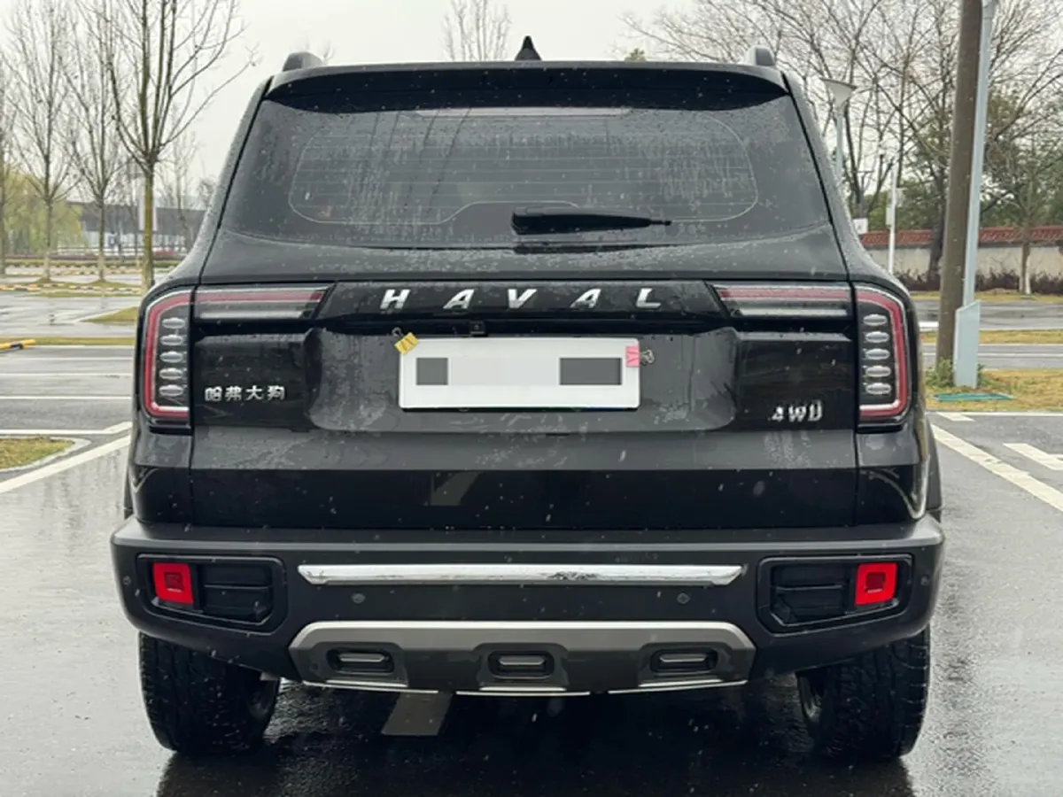 2021 Haval Dargo 2.0T 211HP L4 7DCT,autocango,china used car exporter,china ev exporter,chinese used car exporter,chinese used ev exporter