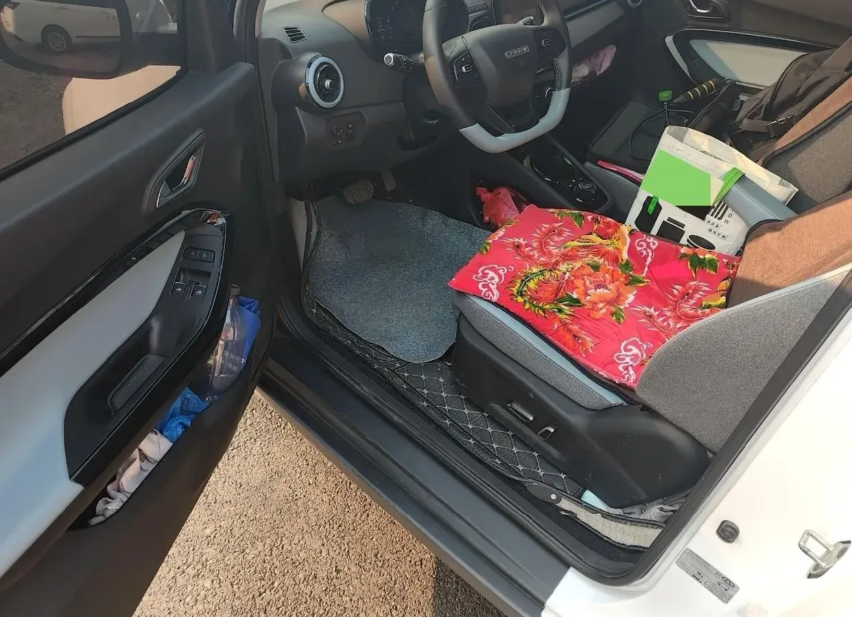 2022 Chery Little Ant BEV 40.3KWH,autocango,china used car exporter,china ev exporter,chinese used car exporter,chinese used ev exporter