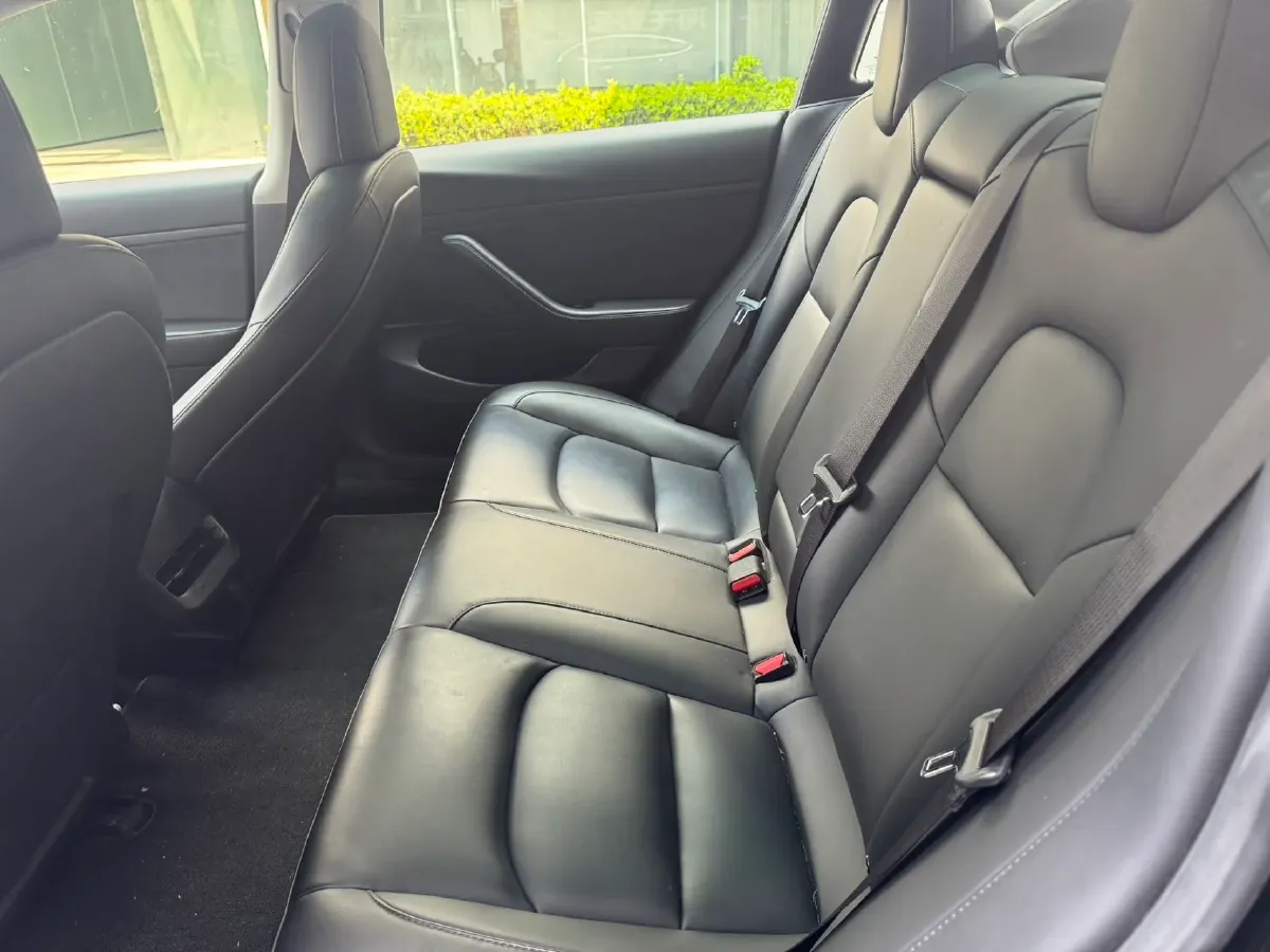 2020 Tesla Model 3 BEV 55KWH,autocango,china used car exporter,china ev exporter,chinese used car exporter,chinese used ev exporter