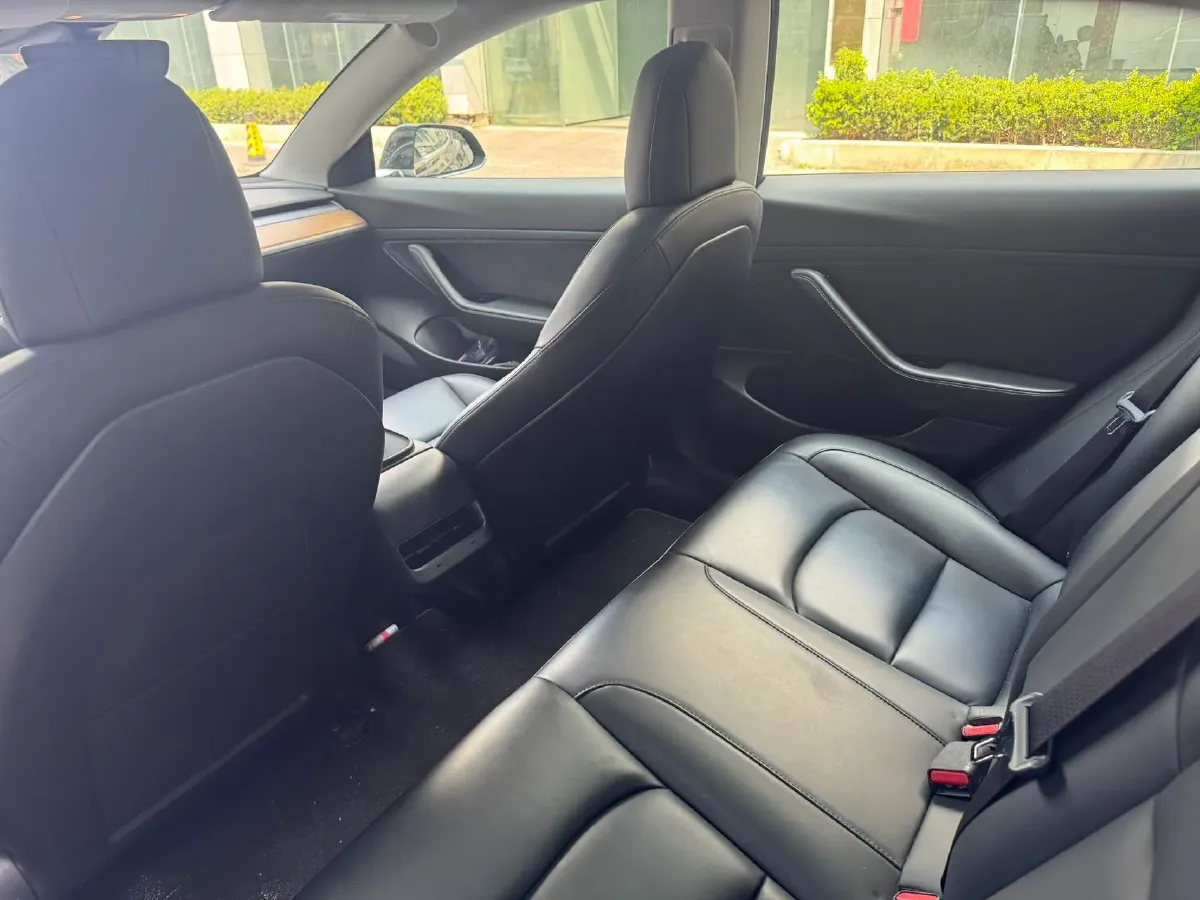 2020 Tesla Model 3 BEV 55KWH,autocango,china used car exporter,china ev exporter,chinese used car exporter,chinese used ev exporter