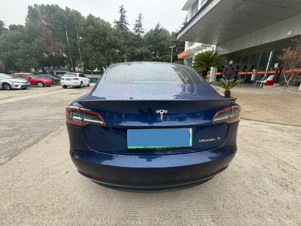 2020 Tesla Model 3 BEV 52KWH,autocango,china used car exporter,china ev exporter,chinese used car exporter,chinese used ev exporter