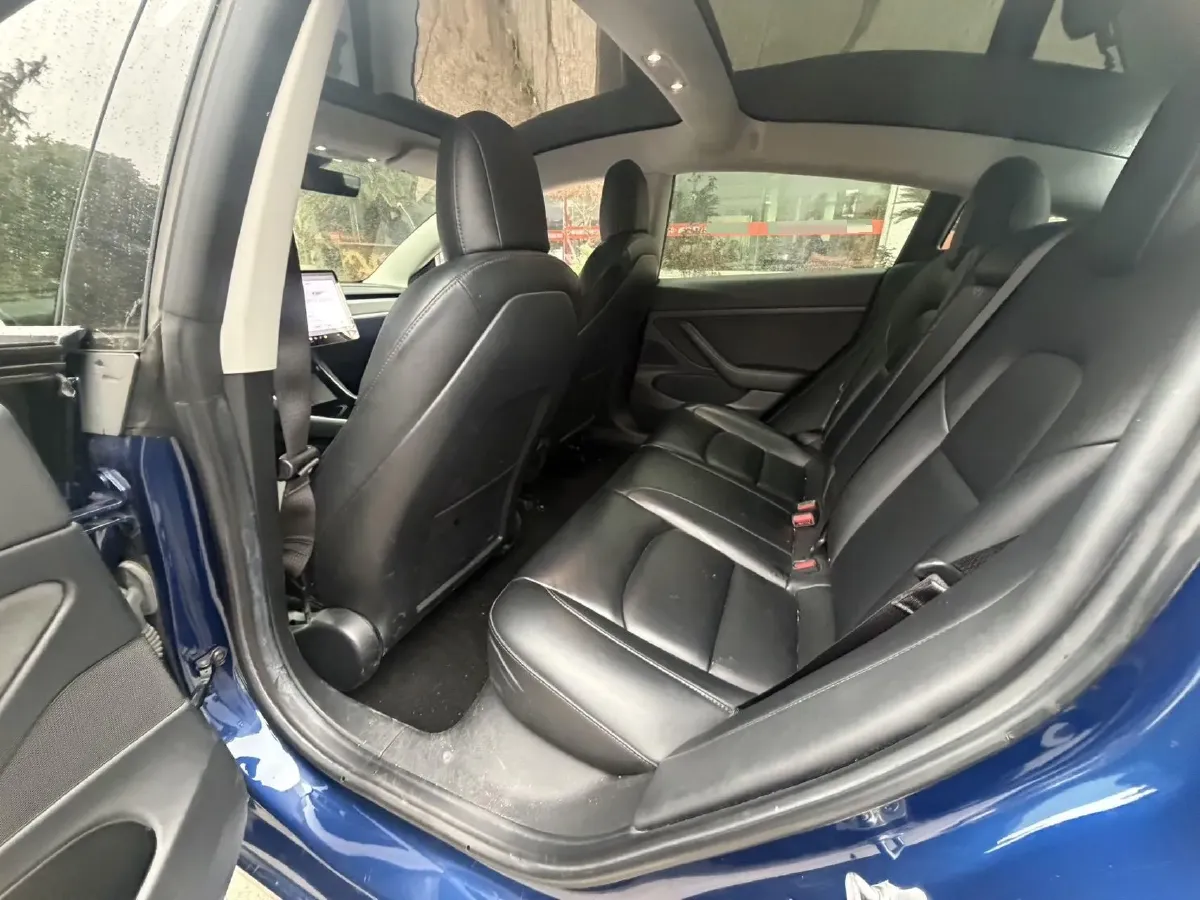 2020 Tesla Model 3 BEV 52KWH,autocango,china used car exporter,china ev exporter,chinese used car exporter,chinese used ev exporter