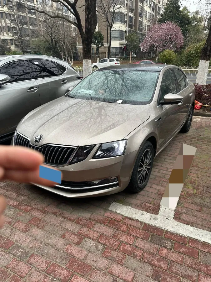2019 Skoda Octavia 1.5L 116HP L4 6AT,autocango,china used car exporter,china ev exporter,chinese used car exporter,chinese used ev exporter