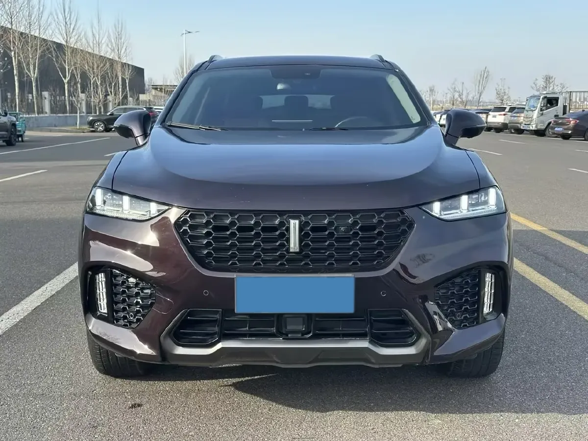 2017 WEY VV7 2.0T 234HP L4 7DCT,autocango,china used car exporter,china ev exporter,chinese used car exporter,chinese used ev exporter