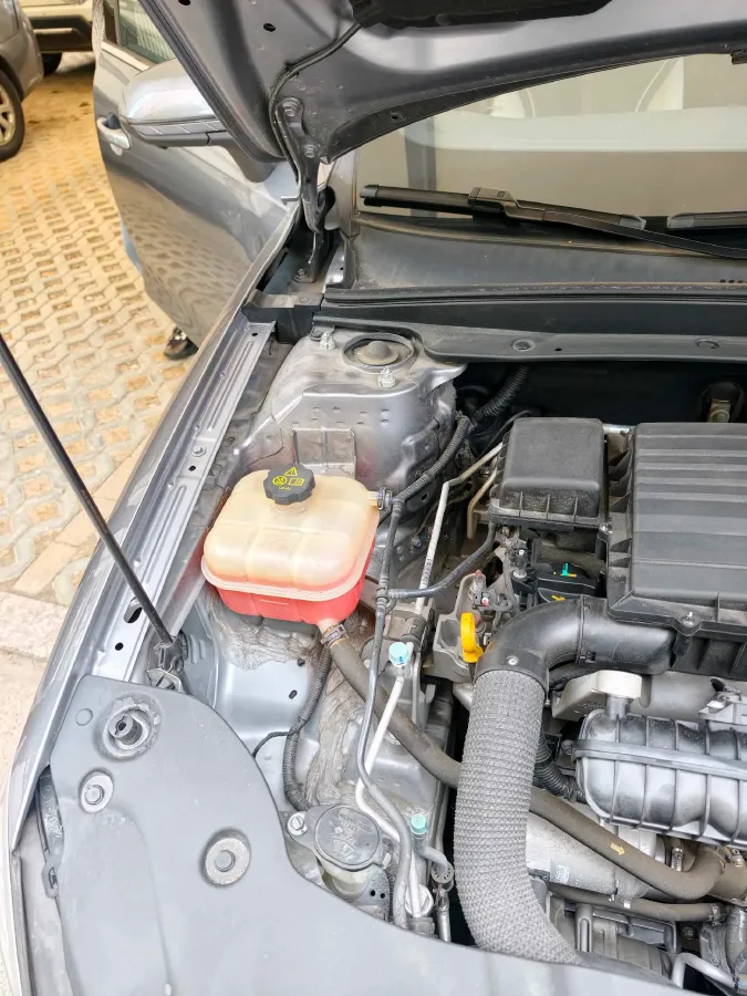 2021 DongFeng FuKang e Elysee BEV 38.4KWH,autocango,china used car exporter,china ev exporter,chinese used car exporter,chinese used ev exporter