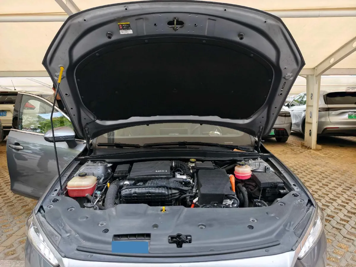 2021 DongFeng FuKang e Elysee BEV 38.4KWH,autocango,china used car exporter,china ev exporter,chinese used car exporter,chinese used ev exporter