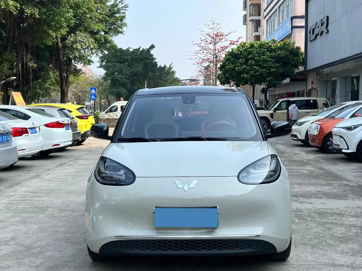 2023 WuLing BinGuo BEV 31.9KWH,autocango,china used car exporter,china ev exporter,chinese used car exporter,chinese used ev exporter