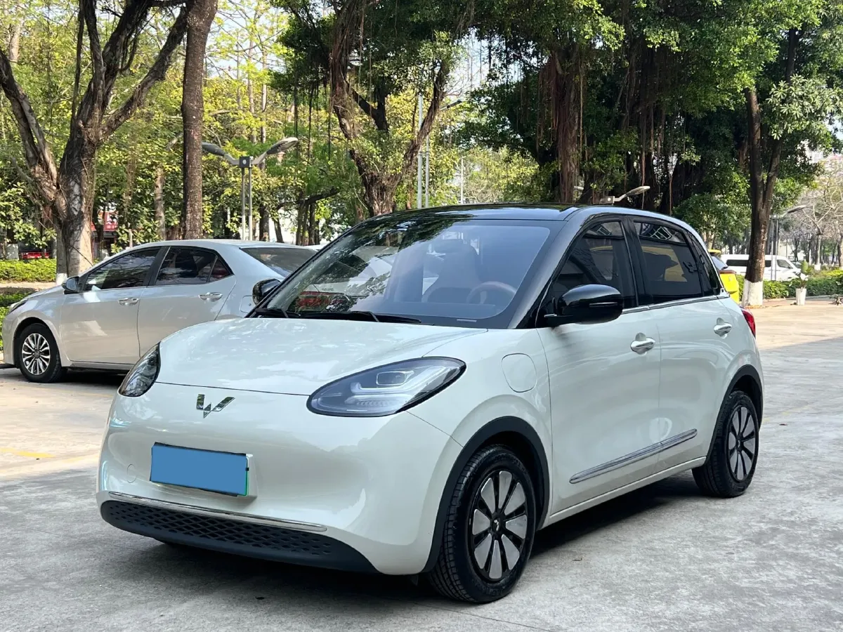 2023 WuLing BinGuo BEV 31.9KWH,autocango,china used car exporter,china ev exporter,chinese used car exporter,chinese used ev exporter
