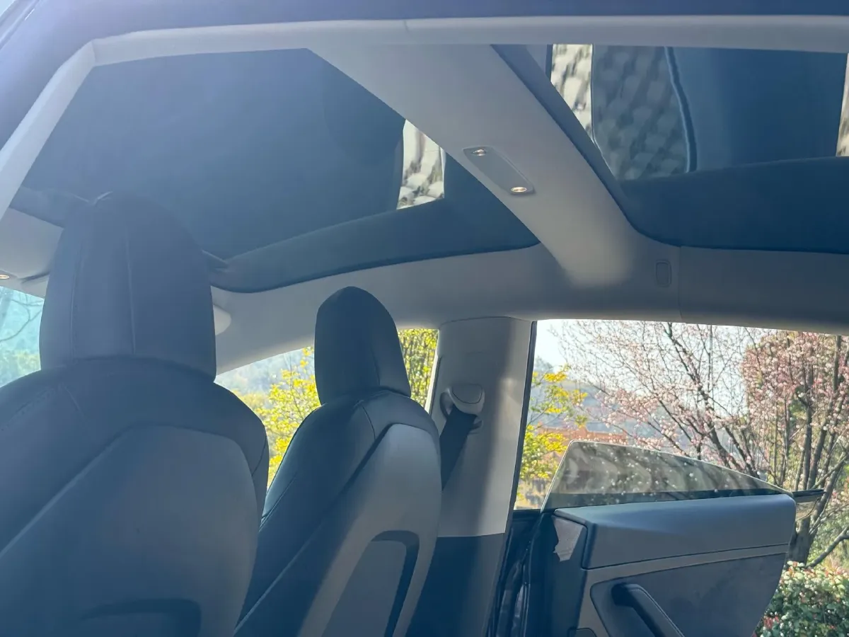 2020 Tesla Model 3 BEV 52KWH,autocango,china used car exporter,china ev exporter,chinese used car exporter,chinese used ev exporter