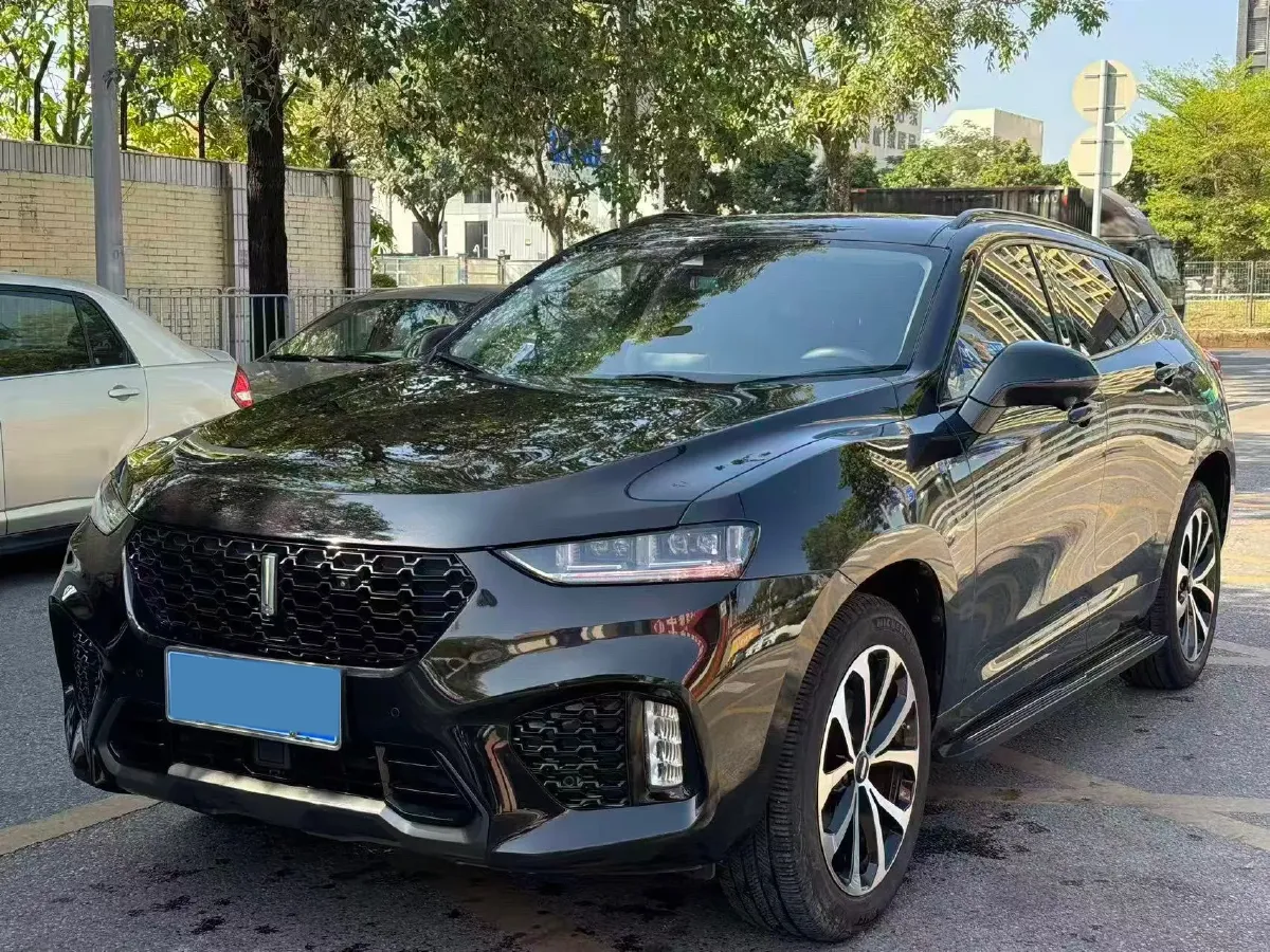 2019 WEY VV7 2.0T 234HP L4 7DCT,autocango,china used car exporter,china ev exporter,chinese used car exporter,chinese used ev exporter