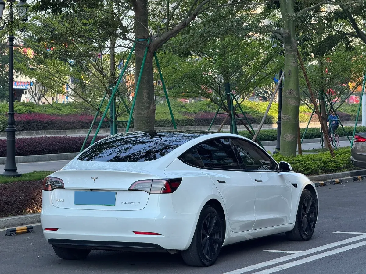 2022 Tesla Model 3 BEV 60KWH,autocango,china used car exporter,china ev exporter,chinese used car exporter,chinese used ev exporter