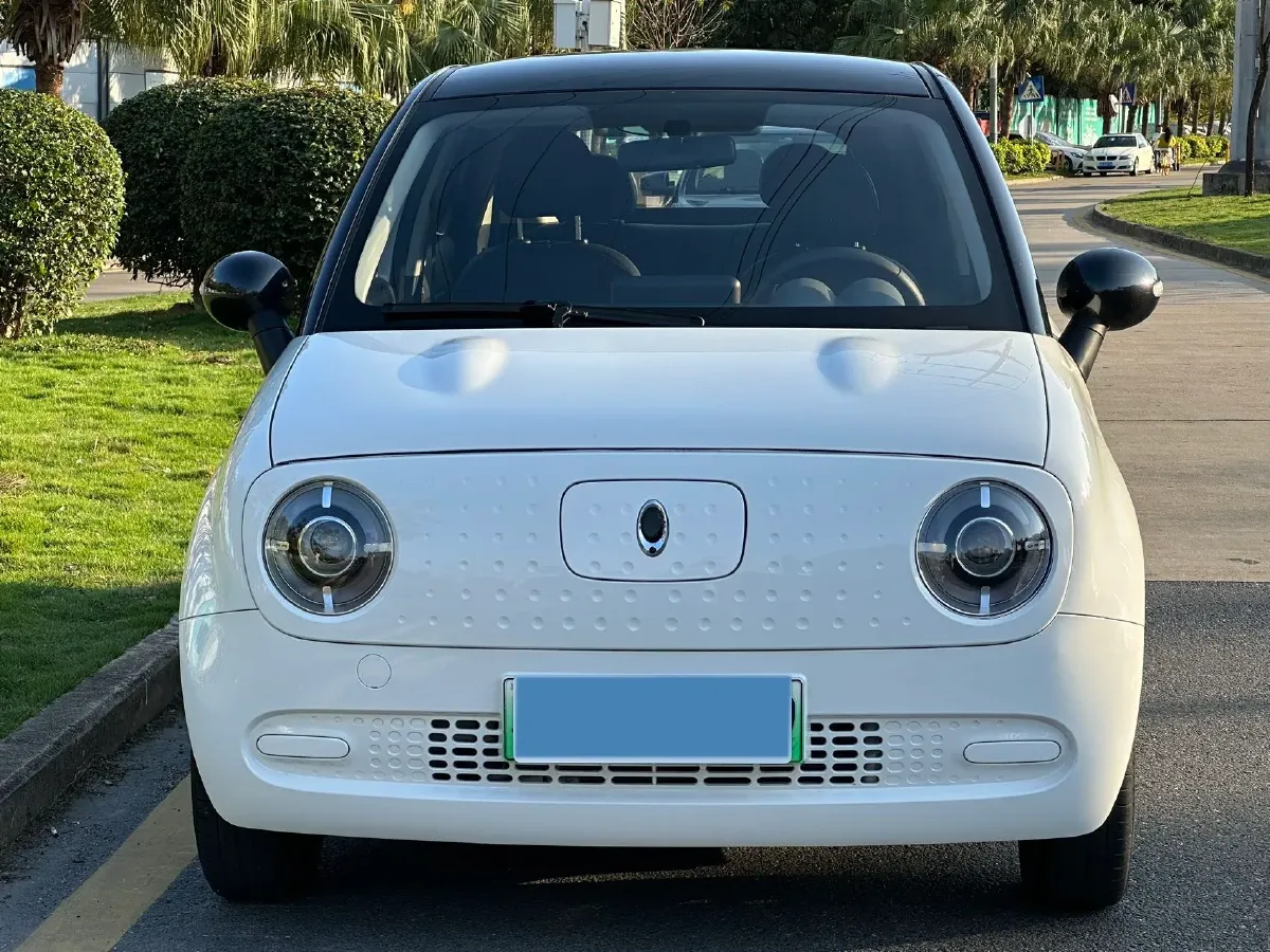 2021 Ora BlackCat BEV 28.5KWH,autocango,china used car exporter,china ev exporter,chinese used car exporter,chinese used ev exporter