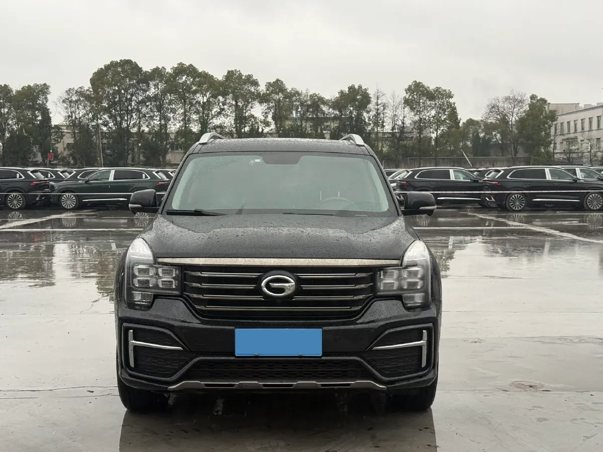 2019 GAC Trumpchi GS8 2.0T 252HP L4 6AT,autocango,china used car exporter,china ev exporter,chinese used car exporter,chinese used ev exporter