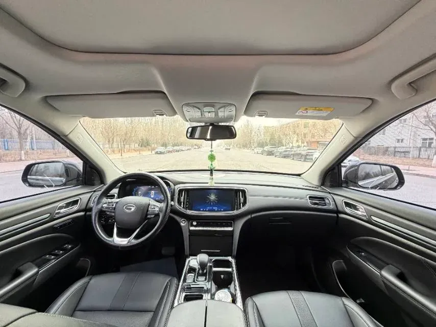 2021 GAC Trumpchi GS8 2.0T 252HP L4 6AT,autocango,china used car exporter,china ev exporter,chinese used car exporter,chinese used ev exporter