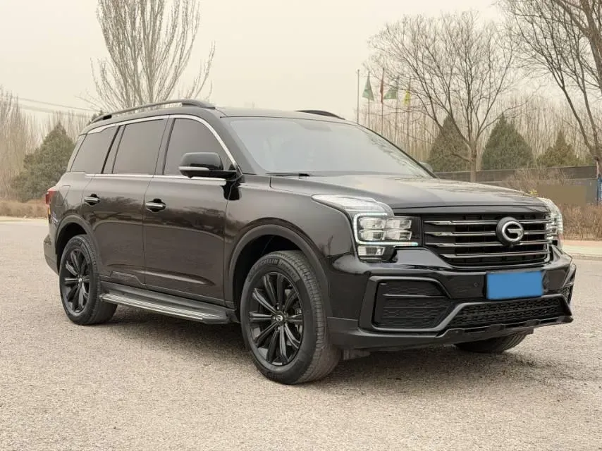 2021 GAC Trumpchi GS8 2.0T 252HP L4 6AT,autocango,china used car exporter,china ev exporter,chinese used car exporter,chinese used ev exporter