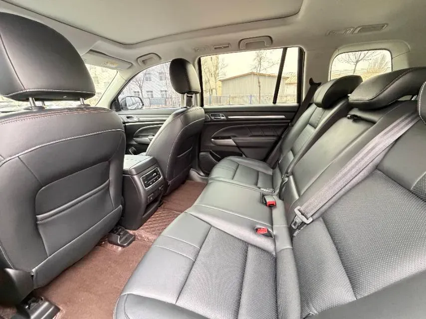 2021 GAC Trumpchi GS8 2.0T 252HP L4 6AT,autocango,china used car exporter,china ev exporter,chinese used car exporter,chinese used ev exporter