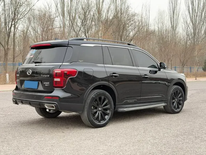 2021 GAC Trumpchi GS8 2.0T 252HP L4 6AT,autocango,china used car exporter,china ev exporter,chinese used car exporter,chinese used ev exporter