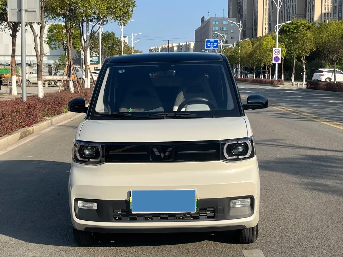 2022 WuLing HongGuang MINI EV BEV 9KWH,autocango,china used car exporter,china ev exporter,chinese used car exporter,chinese used ev exporter