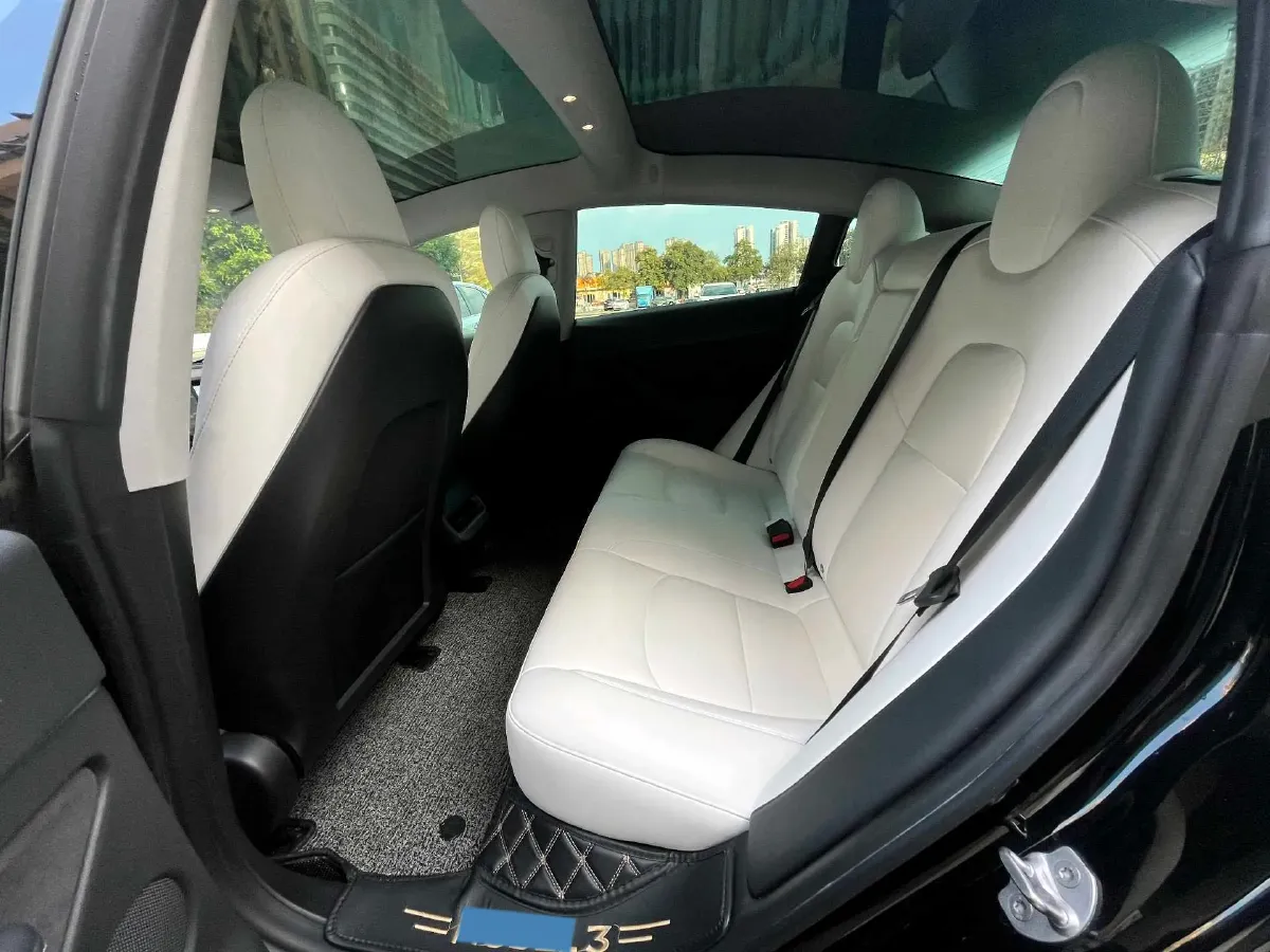 2021 Tesla Model 3 BEV 55KWH,autocango,china used car exporter,china ev exporter,chinese used car exporter,chinese used ev exporter