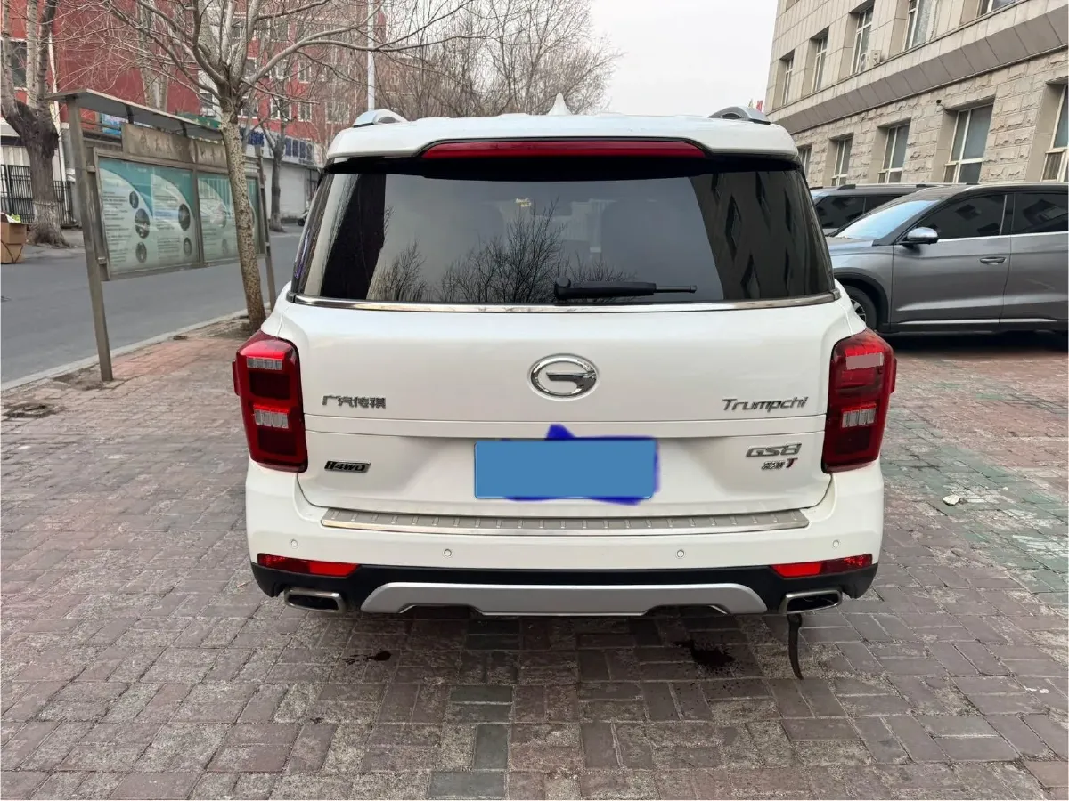 2017 GAC Trumpchi GS8 2.0T 201HP L4 6AT,autocango,china used car exporter,china ev exporter,chinese used car exporter,chinese used ev exporter
