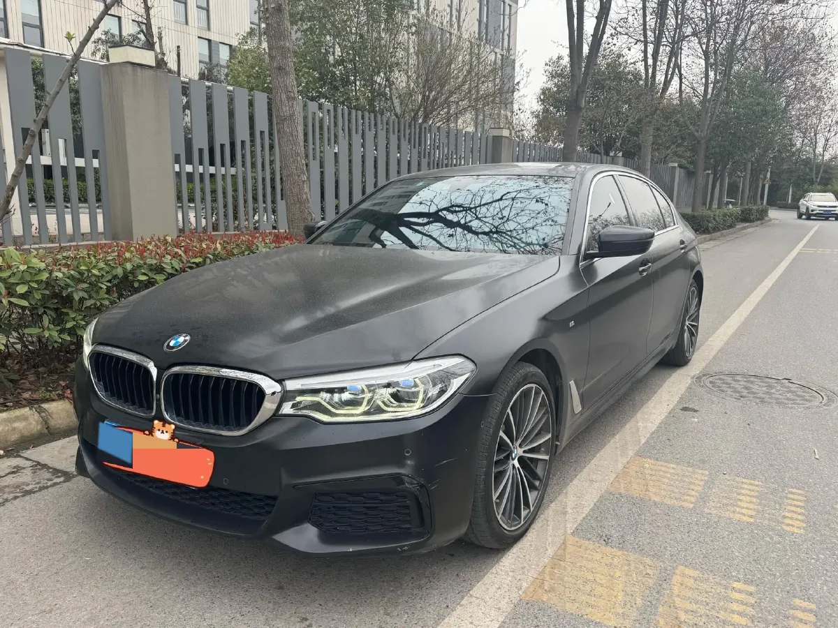2020 BMW 5 Series 2.0T 252HP L4 8AT,autocango,china used car exporter,china ev exporter,chinese used car exporter,chinese used ev exporter