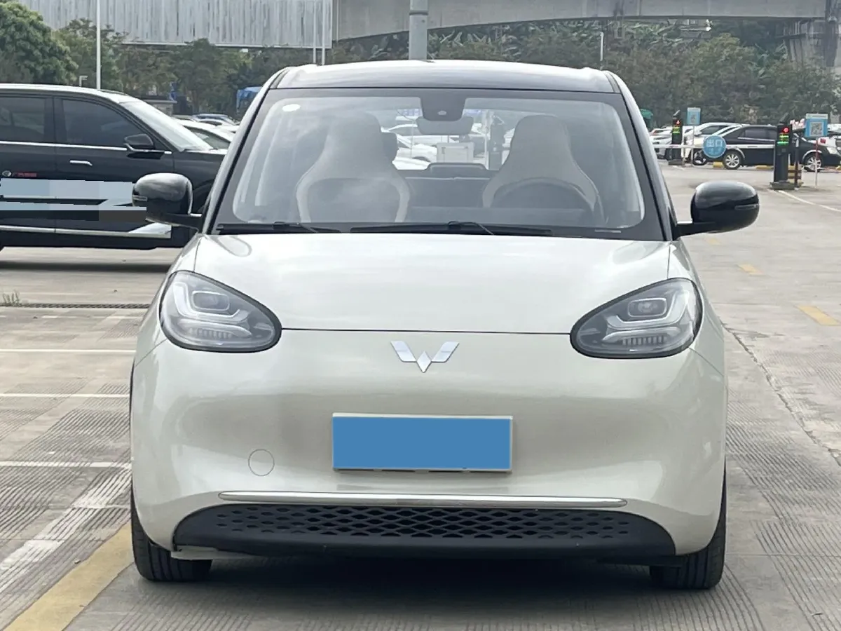 2023 WuLing BinGuo BEV 31.9KWH,autocango,china used car exporter,china ev exporter,chinese used car exporter,chinese used ev exporter
