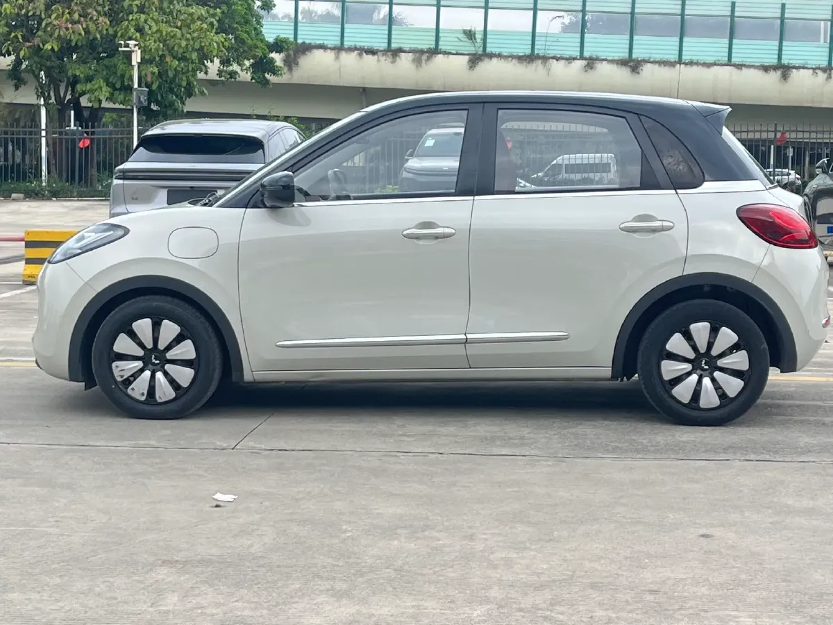 2023 WuLing BinGuo BEV 31.9KWH,autocango,china used car exporter,china ev exporter,chinese used car exporter,chinese used ev exporter