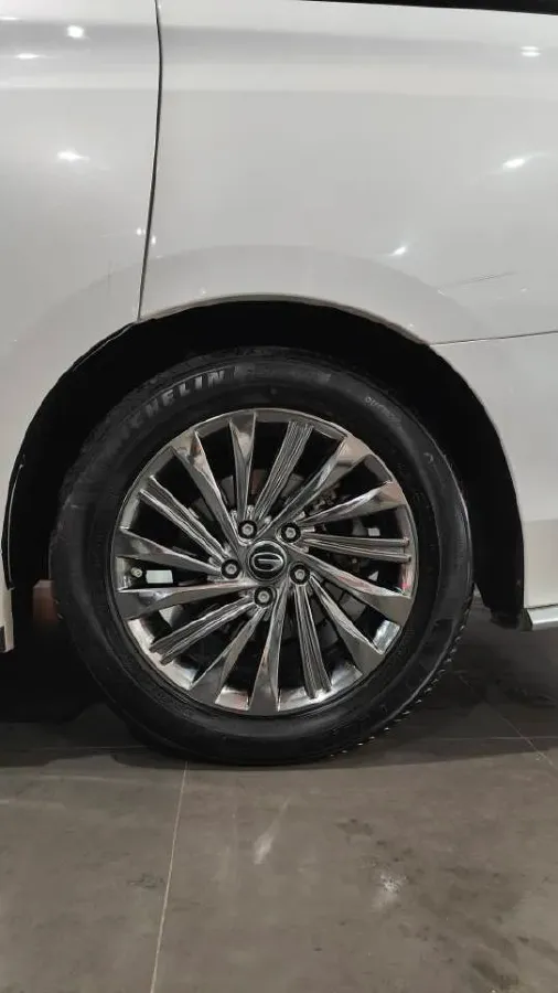 2021 GAC Trumpchi M8 2.0T 252HP L4 8AT,autocango,china used car exporter,china ev exporter,chinese used car exporter,chinese used ev exporter