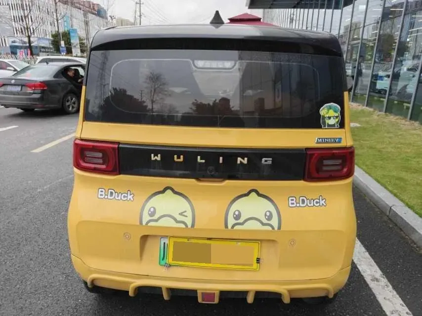 2022 DongFeng Fengon Fengon MINI EV BEV 9.18KWH,autocango,china used car exporter,china ev exporter,chinese used car exporter,chinese used ev exporter