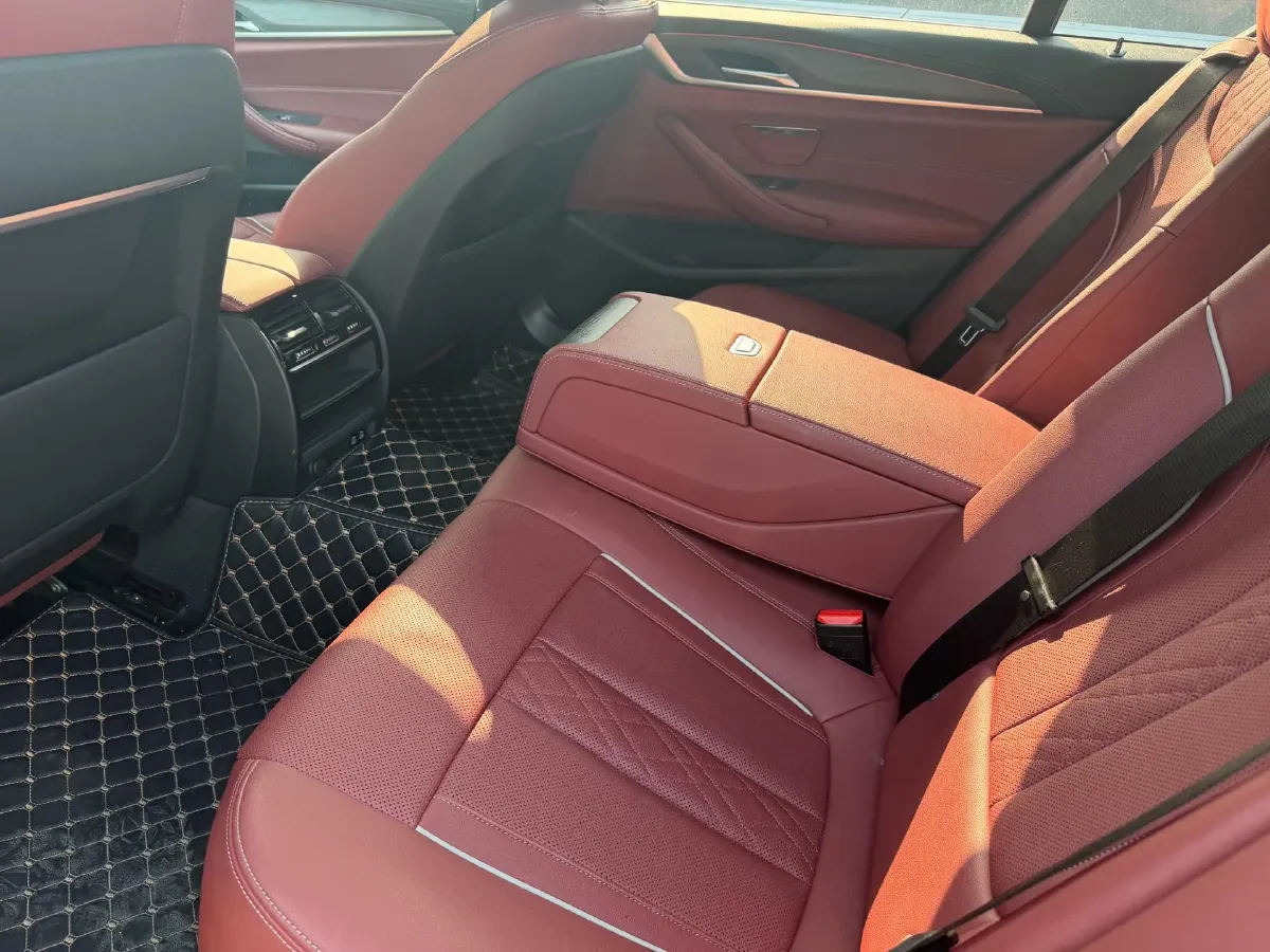 2021 BMW 5 Series 2.0T 252HP L4 8AT,autocango,china used car exporter,china ev exporter,chinese used car exporter,chinese used ev exporter