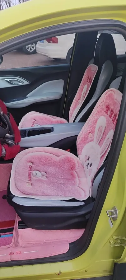 2023 BYD Seagull BEV 30.08KWH,autocango,china used car exporter,china ev exporter,chinese used car exporter,chinese used ev exporter