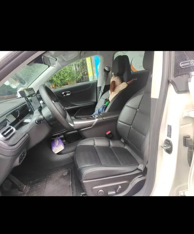 2024 Smart smart Elf 3 BEV 49KWH,autocango,china used car exporter,china ev exporter,chinese used car exporter,chinese used ev exporter