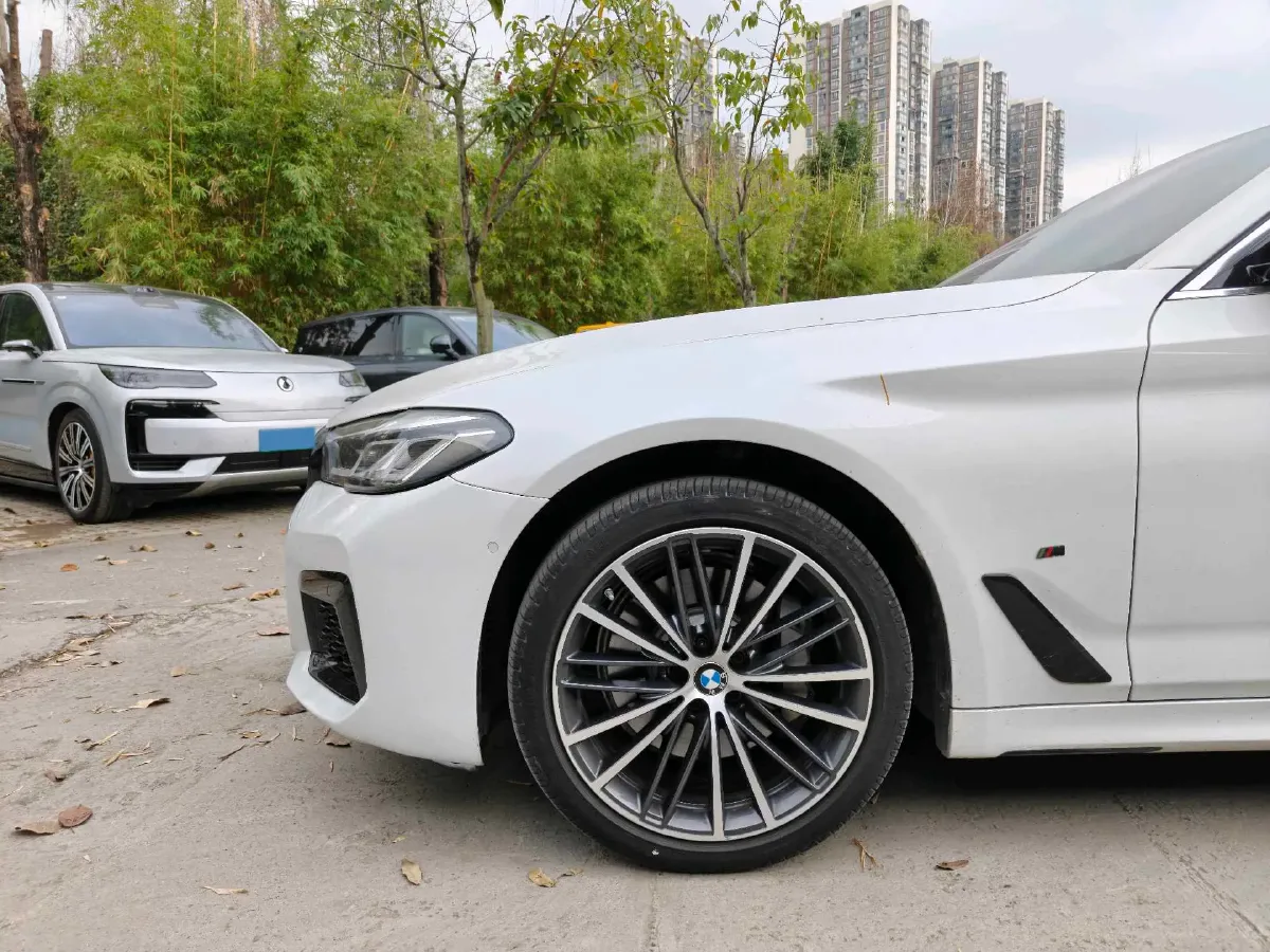 2021 BMW 5 Series 2.0T 252HP L4 8AT,autocango,china used car exporter,china ev exporter,chinese used car exporter,chinese used ev exporter