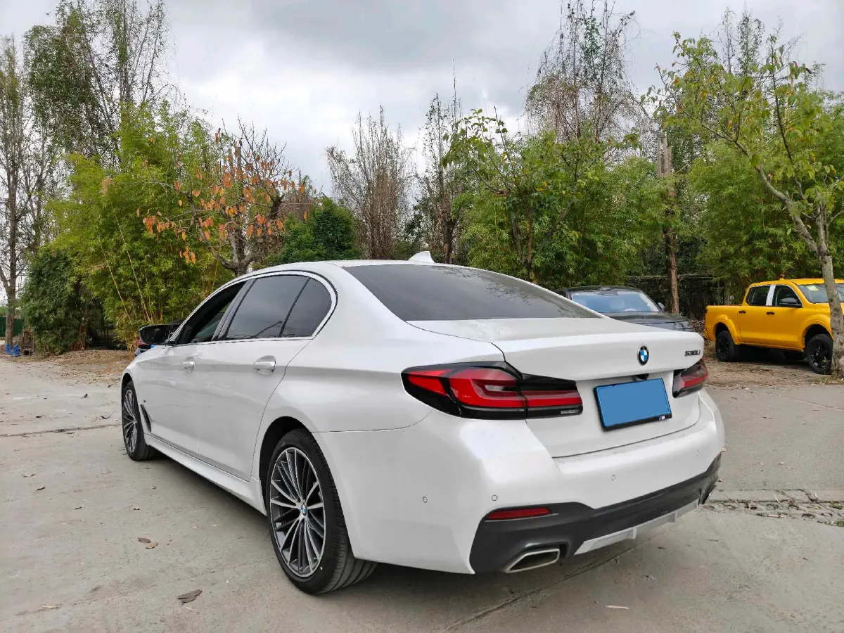2021 BMW 5 Series 2.0T 252HP L4 8AT,autocango,china used car exporter,china ev exporter,chinese used car exporter,chinese used ev exporter