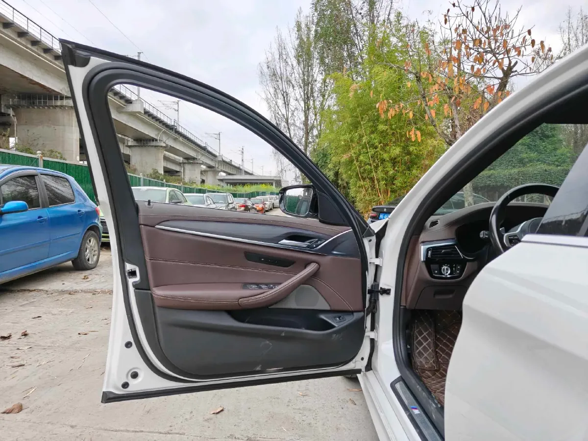 2021 BMW 5 Series 2.0T 252HP L4 8AT,autocango,china used car exporter,china ev exporter,chinese used car exporter,chinese used ev exporter