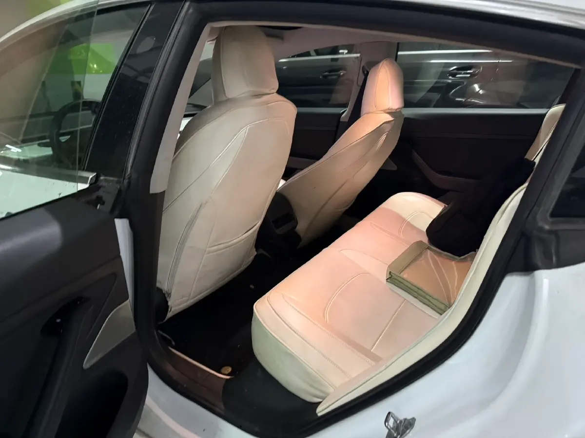 2020 Tesla Model 3 BEV 52KWH,autocango,china used car exporter,china ev exporter,chinese used car exporter,chinese used ev exporter