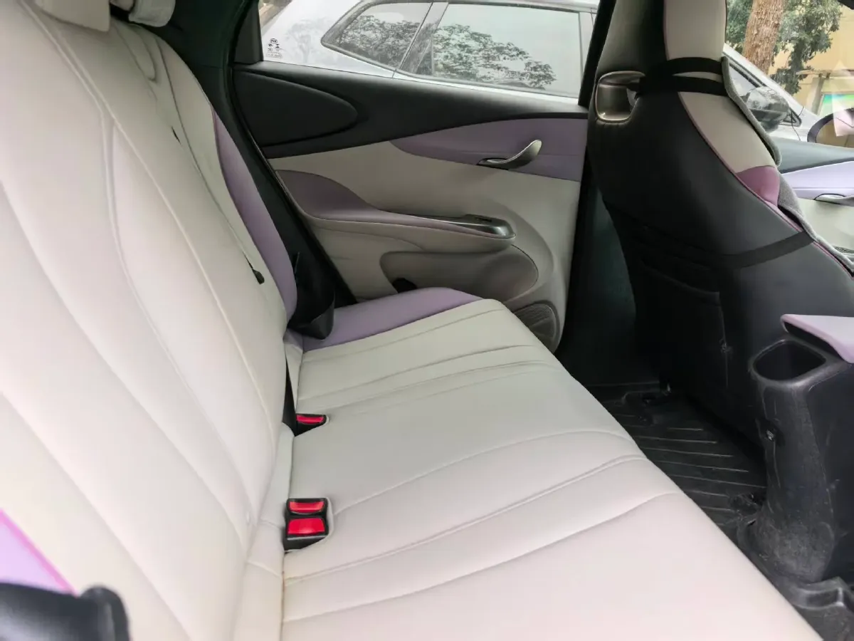 2021 BYD Yuan Pro BEV 50.1KWH,autocango,china used car exporter,china ev exporter,chinese used car exporter,chinese used ev exporter