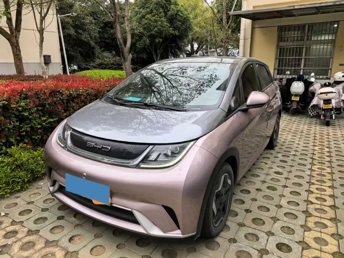 2021 BYD Yuan Pro BEV 50.1KWH,autocango,china used car exporter,china ev exporter,chinese used car exporter,chinese used ev exporter