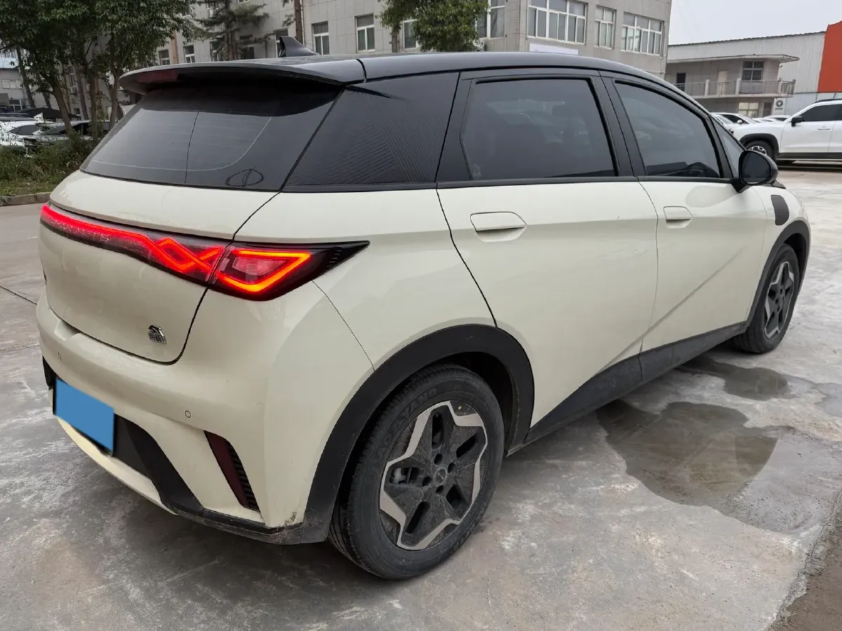 2021 BYD Yuan Pro BEV 50.1KWH,autocango,china used car exporter,china ev exporter,chinese used car exporter,chinese used ev exporter