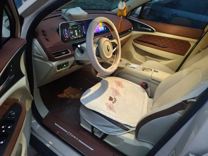 2023 Ora FunkyCat BEV 47.8KWH,autocango,china used car exporter,china ev exporter,chinese used car exporter,chinese used ev exporter